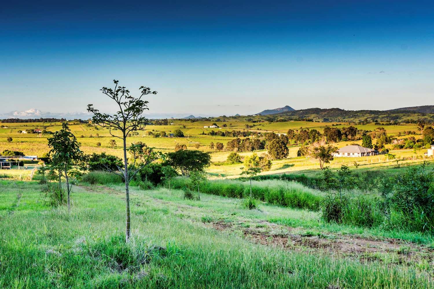[Land for Sale] Hillview Estate, Boonah OpenLot